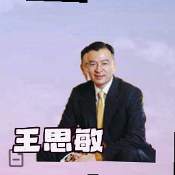 王思敏
